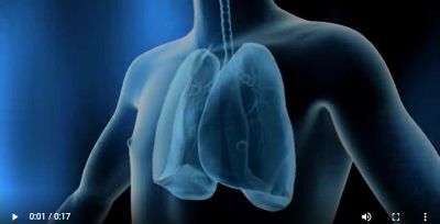 Zoom sur la respiration